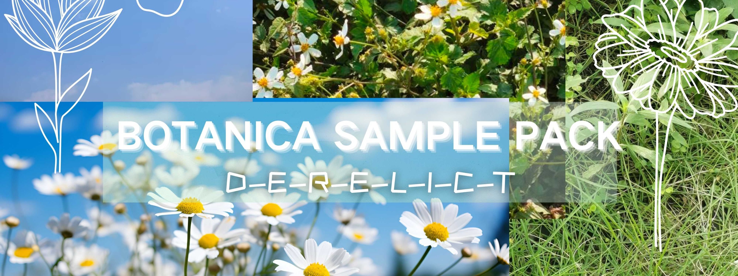 Free BOTANICA SAMPLE PACK